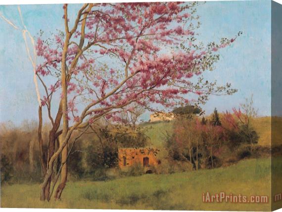 John William Godward Landscape Blossoming Red Almond [study] Stretched Canvas Painting / Canvas Art